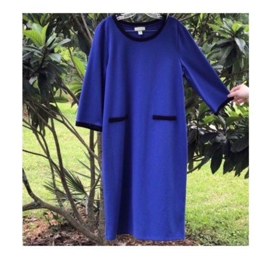 Appleseeds Blue Large 3/4 Sleeve Dress